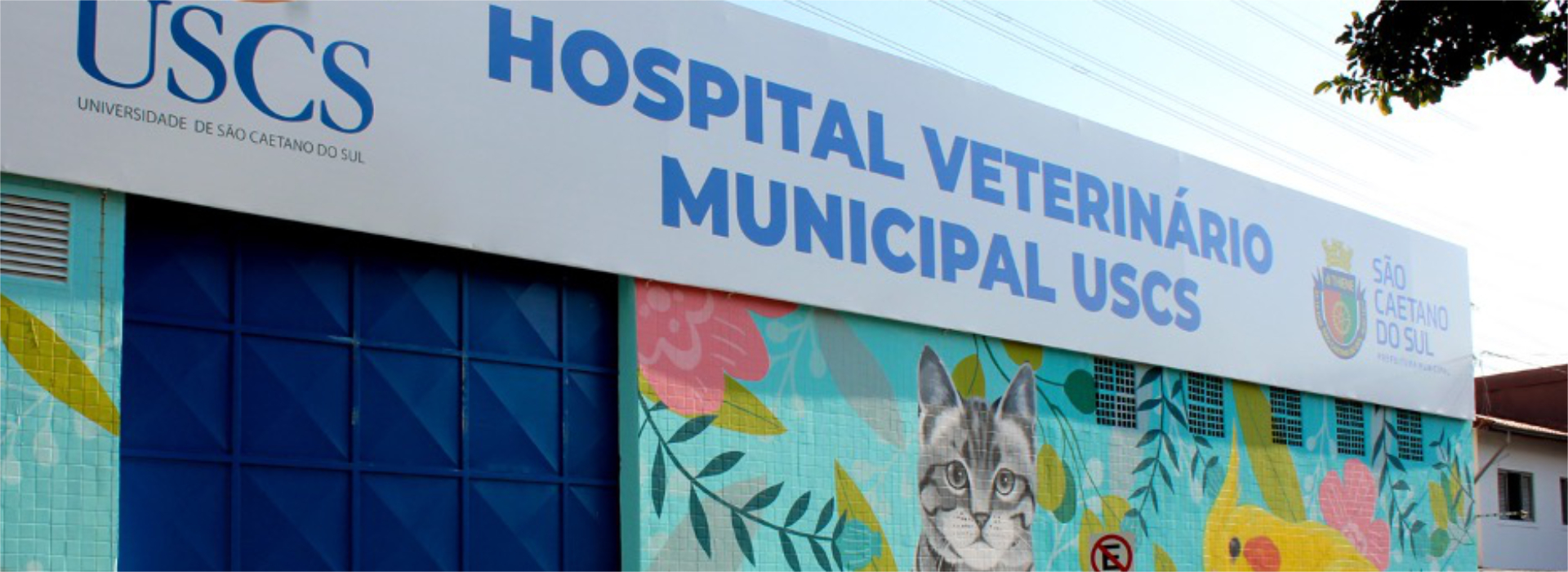 Hospital veterinario