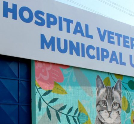 Hospital Veterinário Municipal